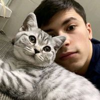 оригинальный звук