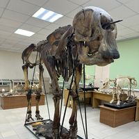 оригинальный звук