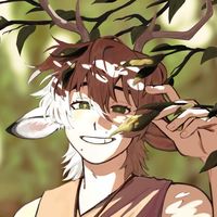 fawn.zy
