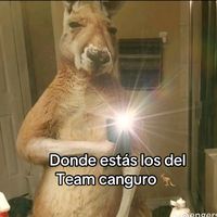 sonido original