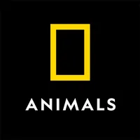 original sound - natgeoanimals