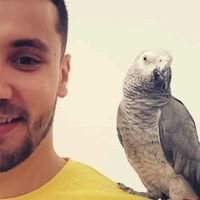 salaheddineabdelma