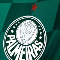 umtorcedordopalmeiras