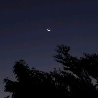 suara asli - Awee always try.