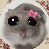 morganleininger12