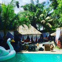 bozouagardenrestaurant