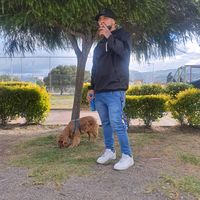 sonido original