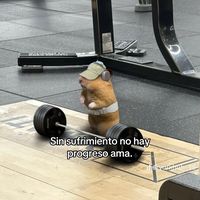 franklinguaraca2