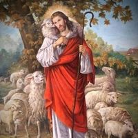 joseturcios170