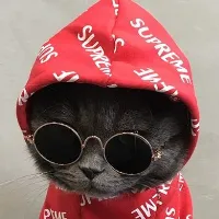 original sound - xdarkg4mex