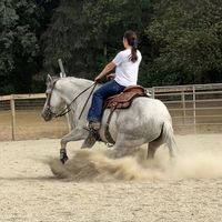 rio_themustang