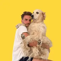 original sound - fausduperre