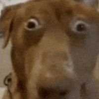 original sound - Sypha>