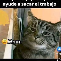 el.hojitos...chinitos