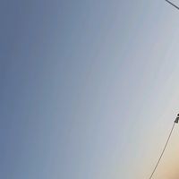 tn_y_gavi_historias_9