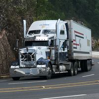 trucks_and_bus_ferma