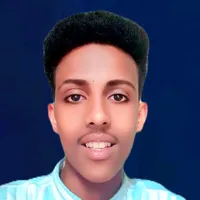 original sound - birqaaye240