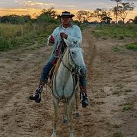 marcioaraujo7846