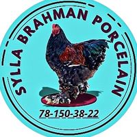 brahma._porcelaine90