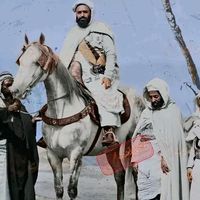 الصوت الأصلي