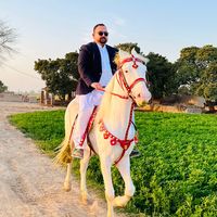 kayanihorseclub