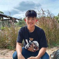 thanaphongboonpok