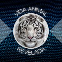 vidaanimalrevelada