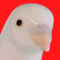 alfonsolimon