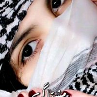 user88734050401183