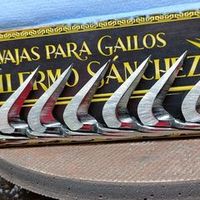 navajasparagallosguille3