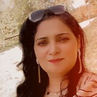 nosheenrazzaq642