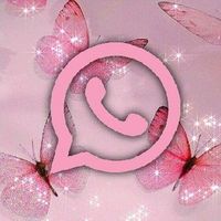 chat_falsos06