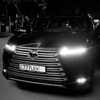ablaevich77