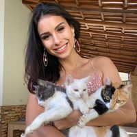 gata_kelle