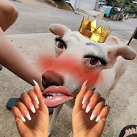queen.of.queimados