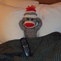 fortunemakesfoolsofusall