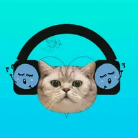 original sound - rolotasmix