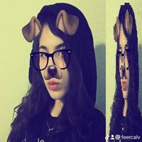 feercalv