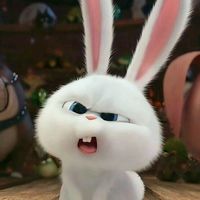sammirarodrigues
