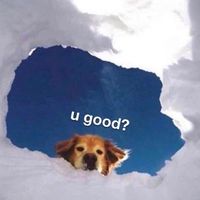 snapcracklenpop