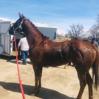 user3129122539010cervnts