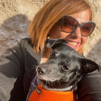 πρωτότυπος ήχος