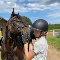 beauty._pony