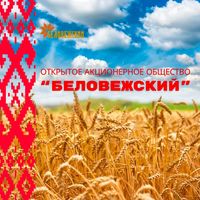 belovezhsky_brsm