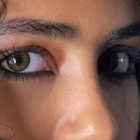 jiya8461