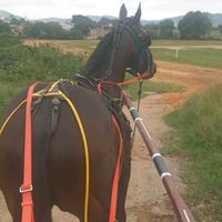 jcavalcantee2