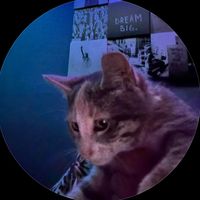 kittycatt.z