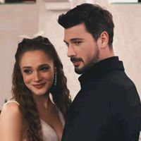 hudutsuzsevda379