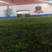 rapidozapata