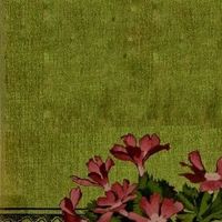 alexandriaiskindaawesome